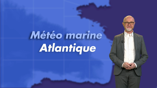 Marine - vidéo pour le bassin Atlantique