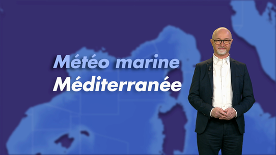 Marine - vidéo pour le bassin Méditerranéen